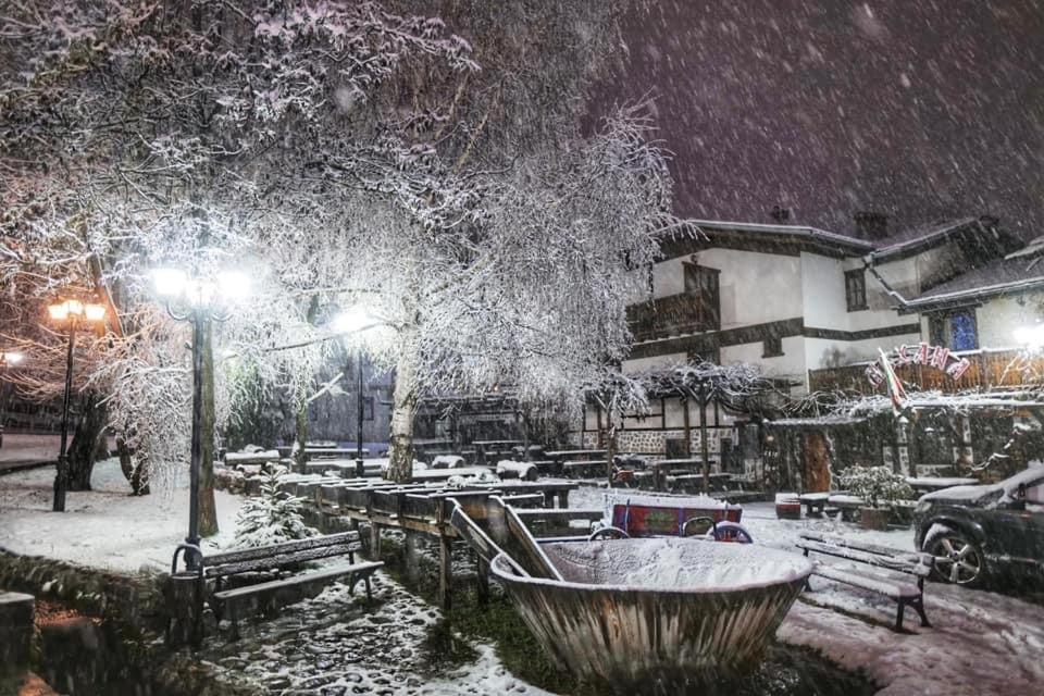 Private Spa Luxury Apartments Bansko Eksteriør billede